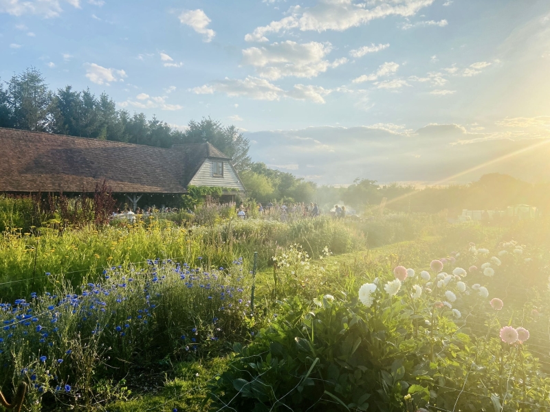 Pitfield Barn Cut Flower Farm & Studio